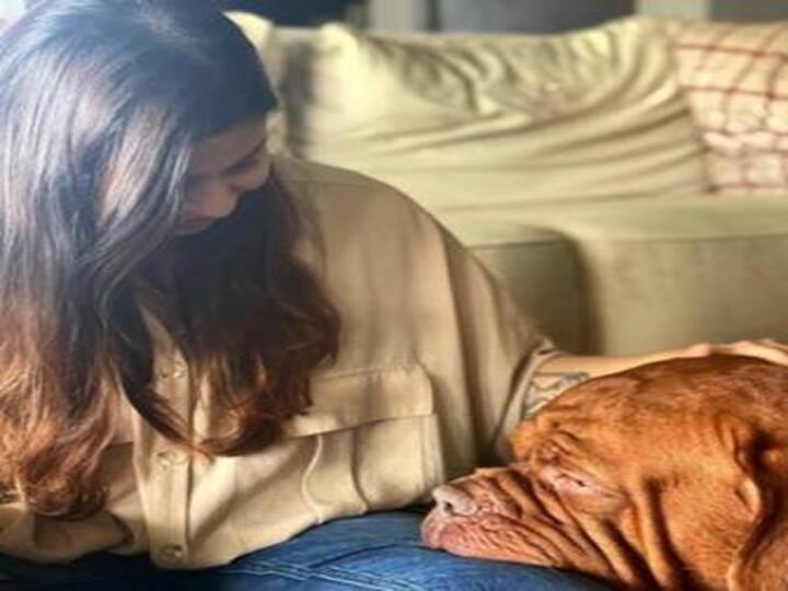आलिया भट्ट ने रणबीर के पालतू कुत्ते के साथ साझा की तस्वीर Alia Bhatt shared a picture with Ranbir's pet dog आलिया भट्ट ने रणबीर के पालतू कुत्ते के साथ साझा की तस्वीर