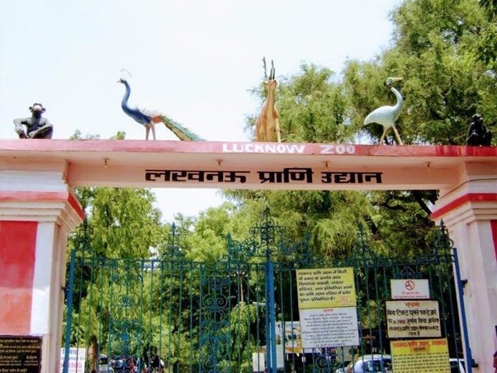 Unlock 1.0 Lucknow zoo opens from today आज से खुला गया लखनऊ का चिड़ियाघर, जाने से पहले इन नियमों को जरूर पढ़ लें