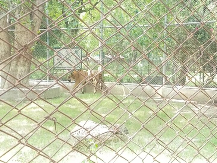 Kanpur-zoo4