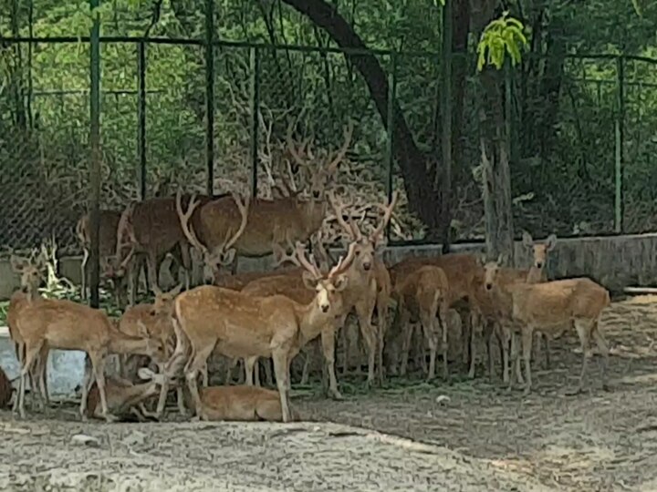 Kanpur