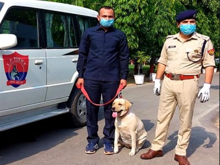 Ghaziabad police Dog squad Leena solved blind murder case now will get new strap and soft mattress गाजियाबाद पुलिस की नई सुपर स्टार बनी डॉग स्क्वायड की 2.5 साल की लीना, इनाम में मिलेगा नया पट्टा और मुलायम गद्दा