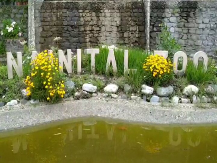 Nainital Zoo opened after three months Rs 45 lakh spent amidst coronavirus lockdown तीन महीने बाद खुला नैनीताल चिड़ियाघर, लॉकडाउन में आय ठप होने के बीच खर्च हुए  45 लाख रुपये