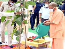 उत्तर प्रदेश ने 26 करोड़ पौधे लगाकर रचा कीर्तिमान, सीएम योगी बोले- सभी को बधाई